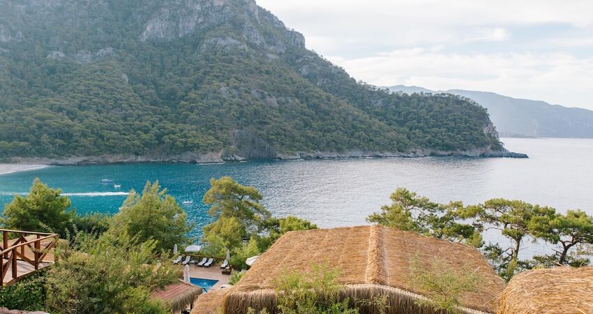 La Boheme Kabak